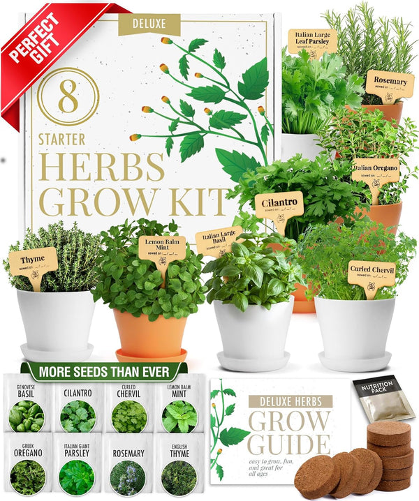 HOME GROWN Gift Herb Kit 8 Herb Seeds Set with Basil, Cilantro,