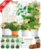 HOME GROWN Gift Herb Kit 8 Herb Seeds Set with Basil, Cilantro,