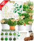 HOME GROWN Gift Herb Kit 8 Herb Seeds Set with Basil, Cilantro,