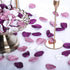 300pcs Artificial Silk Rose Petals, Reusable Fake Purple Flower Petals for Wedding and Party Decoration