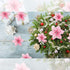 WILLBOND 36 Pcs Christmas Poinsettia Flowers - 3 Size Glitter Faux Ornaments for Christmas and New Year Decoration