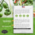 (1 Pack) Aunt Rubys German Green Tomato Seeds for Planting Heirloom Indeterminate Variety with Sweet Flavor Non-GMO