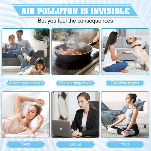 FZ-A80HFU Replacement Filter for Sharp Air Purifier FP-A80HFU, True HEPA Filter 2-Pack