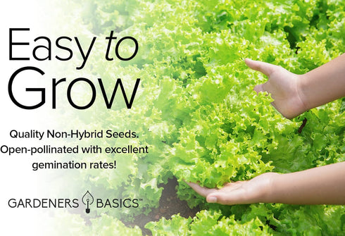 8 Packets Gardeners Basics, Leafy Garden Greens Seeds for Planting Individual - Arugula, Collards, Spinach, Swiss
