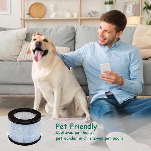 DH-JH01 True HEPA Replacement Filter, Compatible with AROEVE, Kloudi Air Purifier DH-JH01, Intelabe EPI080/EP1080,