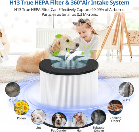 KJ150 KJ910 SY910 Replacement Filter for Druiap KJ150, Muliap & Generic KJ910, H13 True HEPA Filter, 2 Pack