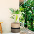 Sunnychicc Stand(10 Inch,Black Plant Basket with Stand Indoor Planter Pot Holder Sturdy Jute Rope Modern Woven Basket