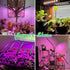 80 3 5 Dimming 6/12/16H, 360 Plant(2Pack) Garpsen Grow Light, LEDs Full Spectrum Plant Lights for Indoor Growing