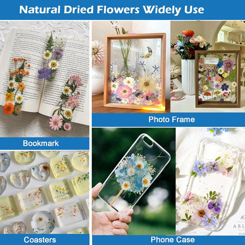 Flowers for Resin Model, Real Pressed Flowers Dry Leaves Bulk Natural Herbs Kit for Scrapbooking DIY Art