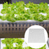 XIDAJIE 400 Pcs Hydroponic Sponges, Planting Gardening Tool for Soilless Cultivation Seedling Growth