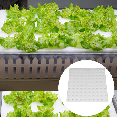 XIDAJIE 200 Pcs Hydroponic Sponges, Planting Gardening Tool for Soilless Cultivation and Seedling Growth