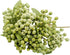 M2cbridge Artificial Berry Stems Christmas Picks Pine Needles Branches Wreath Ornament (Green 12pcs)