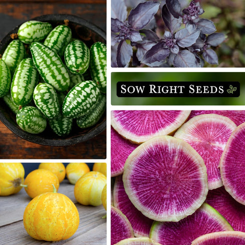 Sow Right Seeds - Rare Exotic Vegetable Seed Collection for Planting - Non-GMO Heirloom Beets, Broccoli, Cucamelon