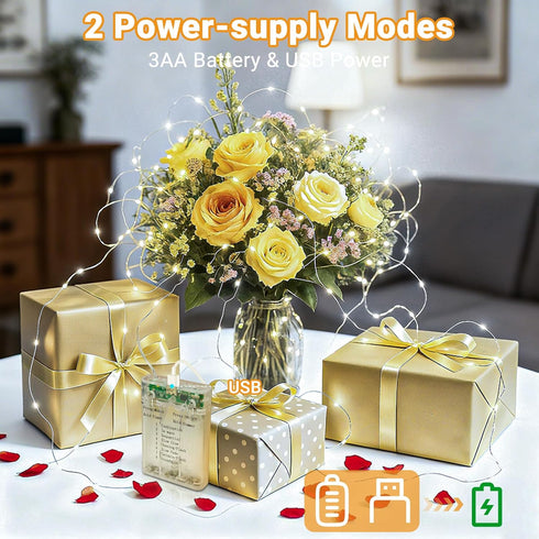 6 Pack 33FT 100LED 8 Dimmable litogo Fairy Lights Battery Operated with Timer, Twinkle String Lights USB-C Powered