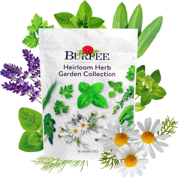 Burpee Heirloom Herb Seeds Variety Pack, Non-GMO, 16 Herbs - 15,000+ Seeds