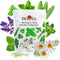 Burpee Heirloom Herb Seeds Variety Pack, Non-GMO, 16 Herbs - 15,000+ Seeds