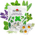 Burpee Heirloom Herb Seeds Variety Pack, Non-GMO, 16 Herbs - 15,000+ Seeds