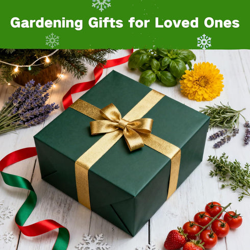 3 32 Lush&Dew USDA Zone Seed Bank, Gardening Gifts for Women Men, Varieties Non-GMO Heirloom Seeds for Planting