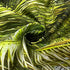 Leeisysme Beach Landscape Tapestry: Tropic Ocean Sea Island Palm Tree Seaside Tapestries for Living Room Summer Wall