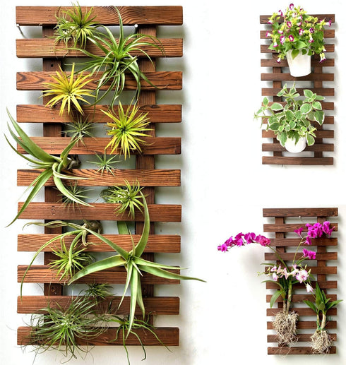 ShopLaLa Wall Planter - Wooden Hanging Planter for Indoor Plants, Plant Stand,