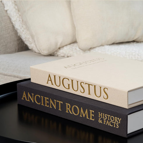 Linen Covered Decorative Books - 2-piece Set Decor Boxes for Aesthetic Bookshelf,