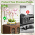2-Pack 11-Inch iDavosic.ly Metal Plant Stands for Outdoor Indoor, Wide Rust-proof Iron Heavy Duty Flower Pot Holder