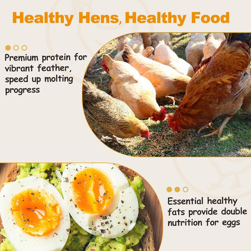 5LB Dried Mealworms, Non-GMO Meal Worms for Chickens & Birds, High Protein Chicken Feed, Natural Chicken Worms Ideal