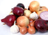 NIKA SEEDS 500 Seeds Vegetable Onion Rainbow Mix Neutral - Seeds