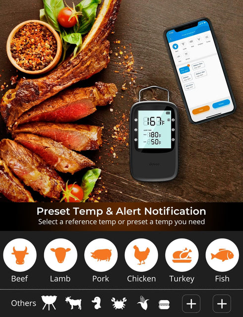 Govee Bluetooth Meat Thermometer, Wireless Digital Grill Thermometer for Smoker Oven, 2 Probes, Timer Mode, Smart LCD