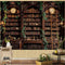 Spenlife Retro Bookshelf Tapestry Wall Decorative Tapestry Bookshelf Tapestries Wall Hanging for Bedroom