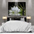Canvas Wall Art - White Lotus and Black Zen Stones Picture, Modern Wall Decor, 12" x 16"