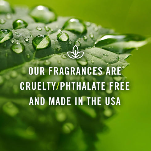 P&J Fragrance Oil, Gardenia 30ml - Candle Scents, Soap Making, Diffuser Oil, Aromatherapy
