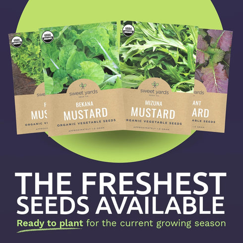 Pack 4 Packs 2026 Organic Mustard Green Seeds Variety - Individual - Season - Mizuna, Pizzo, Bekana, and Red Giant!