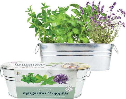 Set BUZZY Seeds Margarita and Mojito Windowsill Mini Garden Grow Kit, Herb Starter with Mint, Lime Basil and Lavender