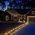 C9 100 66 Dazzle Bright Christmas String Lights, LED FT Waterproof Connectable Green Wire Fairy Lights, Christmas