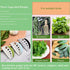 LXLVOUEG 2 1,Herb Lovers,1PCS,Black,Stainless Herb Stripper and Herb Cutter in Stripping Tool Herb Chopper Cilantro