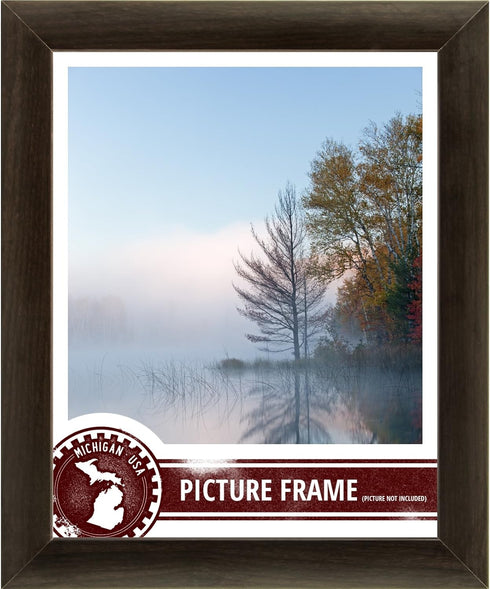 Craig Frames 232477781620N Picture/Poster Frame, 1-Inch Wide, Smooth Wood Grain Finish, 16 by 20-Inch, Brazilian Walnut