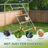 56" 40" Chicken Perch Roosting Bars for Chickens in Coop Chicken Toys for Coop Accessories Chicken Roosting Ladder Bird