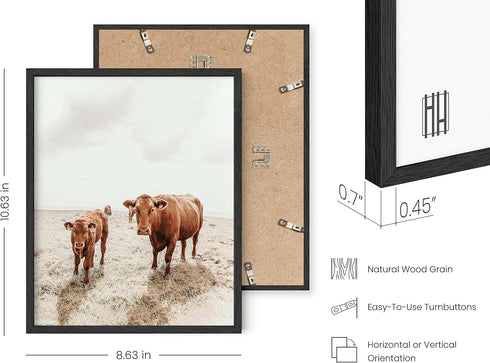 HAUS AND HUES Highland Cow Art, Farmhouse Wall Decor - Unframed Cow Painting and Prints