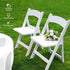 Allpop 2 Pack 550LB Commercial Set Resin Folding Chair with Vinyl Padded Seat, Capacity, Chair for Party Wedding Picnic