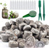 Woohome 150 PCS Peat Pellets Seeding Soil Set, Compressed Peat Block with Plant Labels for Indoor Outdoor Gardening