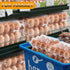 ALISWAT 120 Pack 12 Count, 1 Dozen Egg Cartons Cheap Bulk Clear Empty Egg Cartons for Chicken Eggs, Plastic Egg Holder