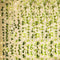 KASZOO 84Ft 12 Pack Artificial Ivy Garland, Vine Hanging Garland with 80 LED String Light, Green