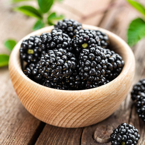 KVITER 50 Black Raspberry Seeds (Rubus Occidentalis) Organic Raspberries Heirloom Seeds, Non