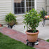 Skelang 13" Planter Caddy with Moving Water Drawer