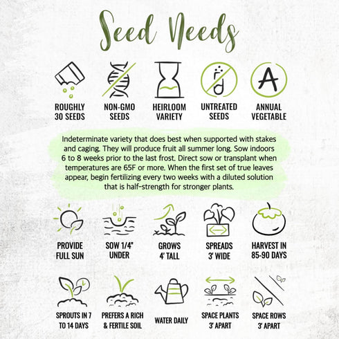 (1 Pack) Seed Needs Tomato Seeds for Planting Indeterminate True Beefsteak Tomatoes - Non-GMO Heirloom & Untreated