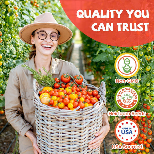 10 Packet Heirloom Tomato Seed Varieties - Non-GMO, Open Pollinated Seeds for Planting Home Garden - Beefsteak, Roma