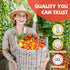 10 Packet Heirloom Tomato Seed Varieties - Non-GMO, Open Pollinated Seeds for Planting Home Garden - Beefsteak, Roma