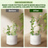 14.17 Inch 4 Pack WellSign Small Trellis for Potted Plants Indoor with Colorful Crystal Sun Catcher, Metal Plant