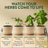 4 HOME GROWN Herb Garden Planter Indoor Kit Unique Christmas Gift for Adults, Men, & Women - Grow Heirloom Herb Seeds